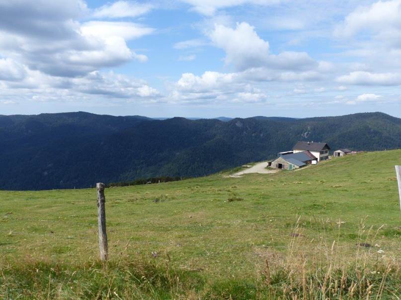 Ein Bild, das Gras, Himmel, drauen, Feld enthlt.

Automatisch generierte Beschreibung