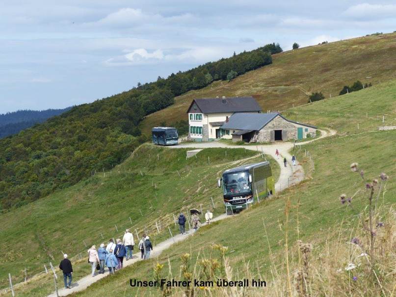 Ein Bild, das Gras, drauen, Natur, Berg enthlt.

Automatisch generierte Beschreibung