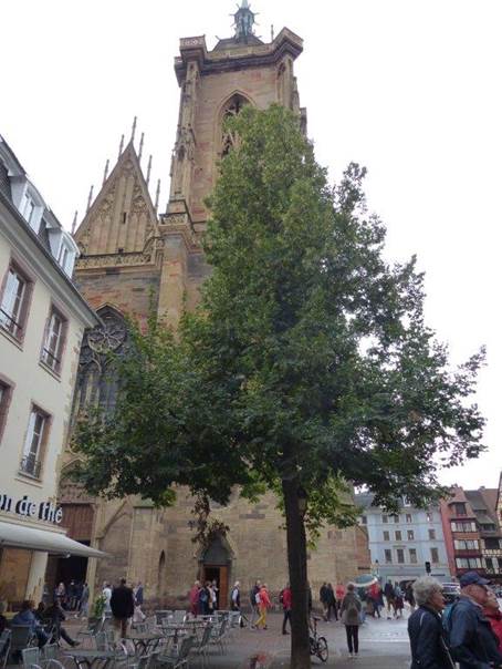 Ein Bild, das drauen, Baum, Himmel, Personen enthlt.

Automatisch generierte Beschreibung